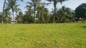 Plots for sale in Shanzu