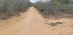 Dakacha land for sale