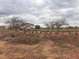 land for sale in makindu