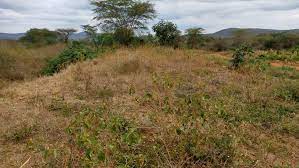 land for sale in Mwatate