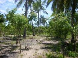 land for sale in Endebess