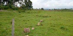 Land for Sale in Kipkelion