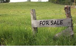 Land for Sale in Kipkelion