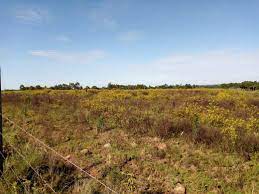 land for sale in Cheptiret