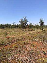 land for sale in Kipkabus