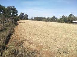 land for sale in Kipkabus