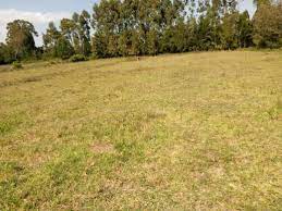 land for sale in katheri timau