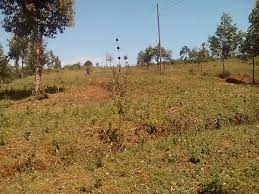 Land for Sale in bunyore