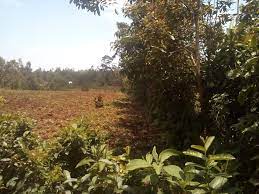 Land for Sale in bunyore