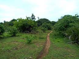 land for sale in kombani kwale