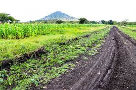 Konza Malili plots