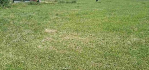 land for sale in kibomet kitale