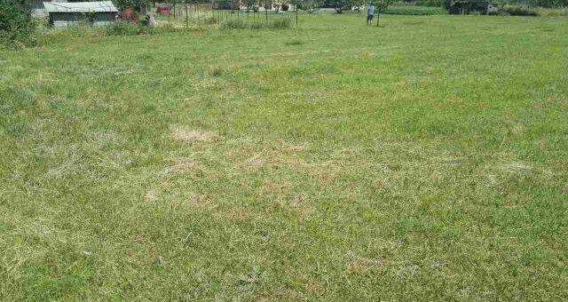 land for sale in kibomet kitale