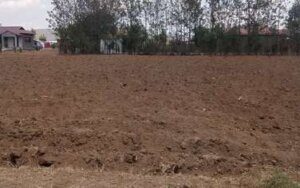 land for sale in Dundori