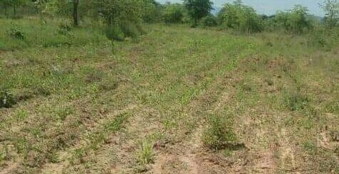 land for sale in Kithimani