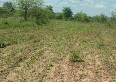 land for sale in Kithimani