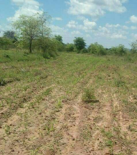 land for sale in Kithimani