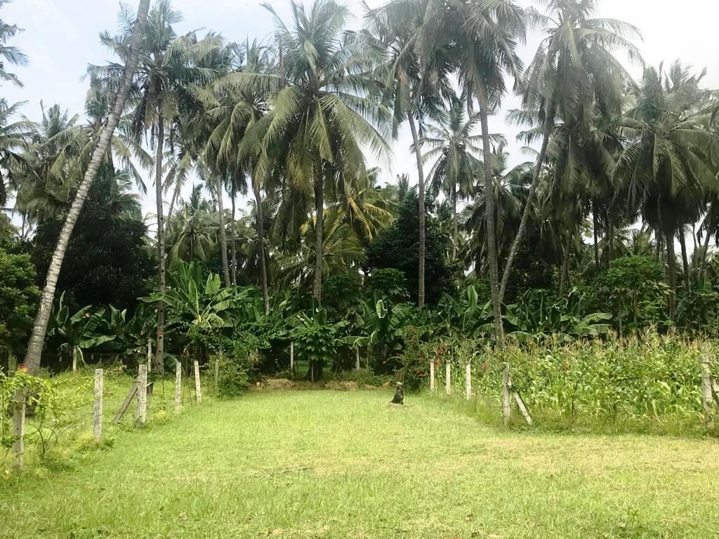 land for sale in Vipingo