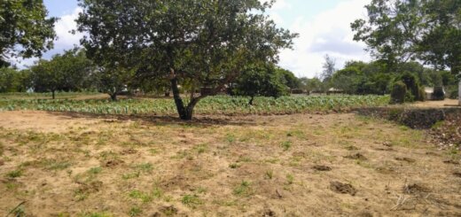 Land for sale in Gongoni Malindi