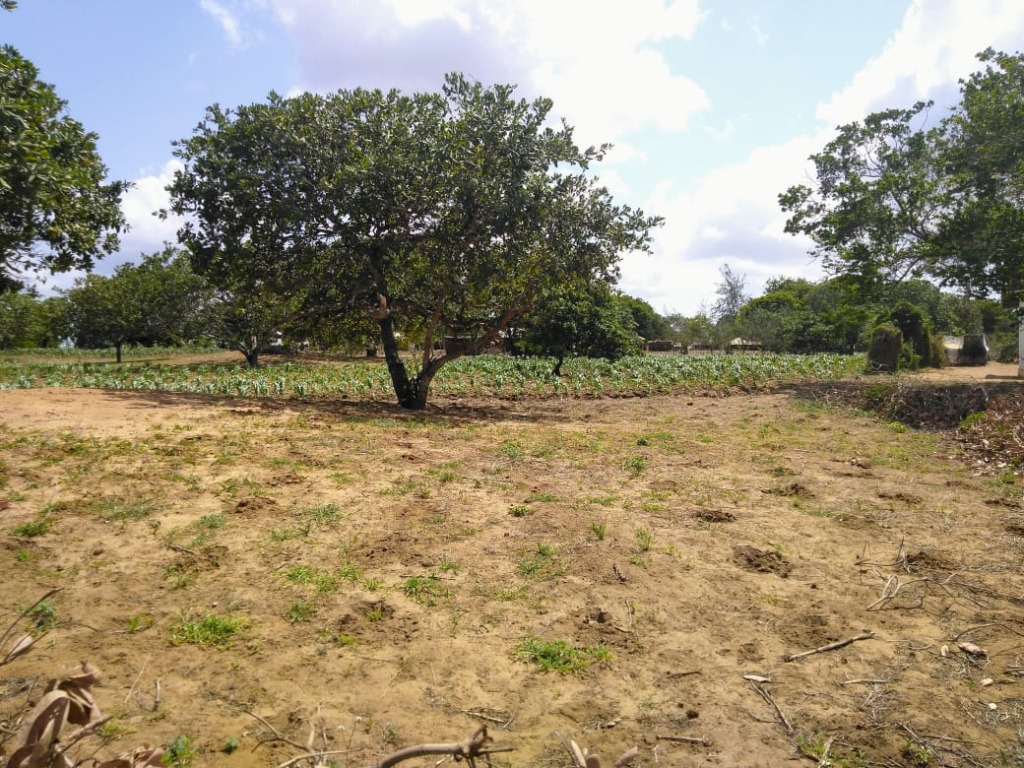 Land for sale in Gongoni Malindi