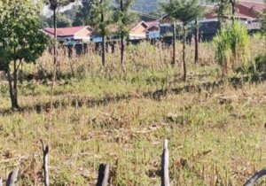 land for sale in ikanga