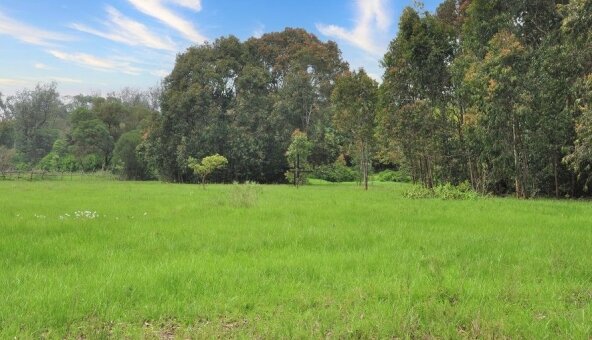 Land for sale in Kasuku