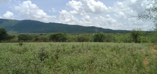 land for sale in kauti matuu