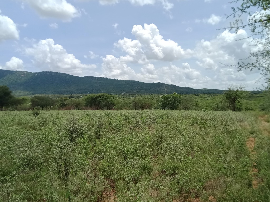 land for sale in kauti matuu