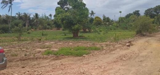 Plots for sale in Kisauni