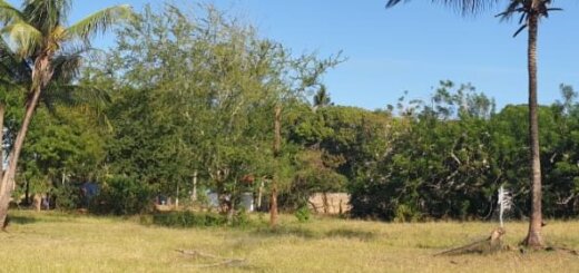 land for sale in kwa vonza