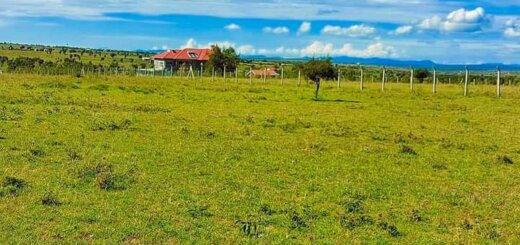 land for sale in malili