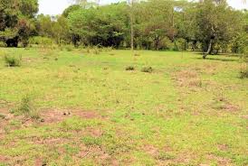 land for sale in marereni, malindi