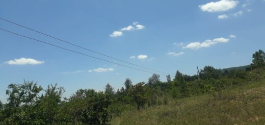 land for sale in Masii
