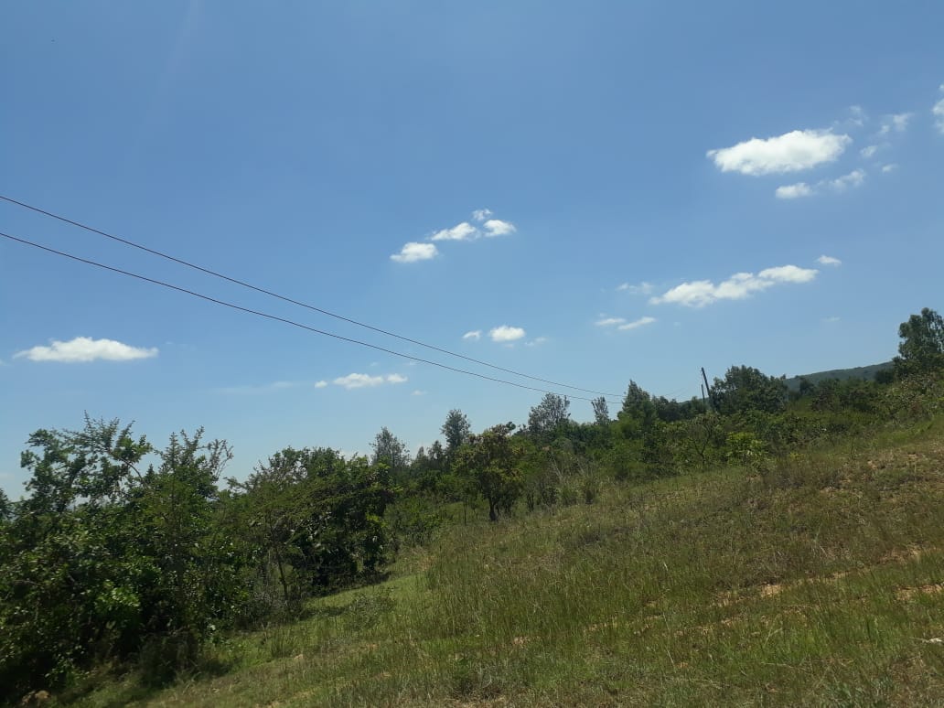 land for sale in Masii