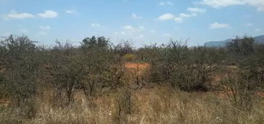 land for sale in Mbololo