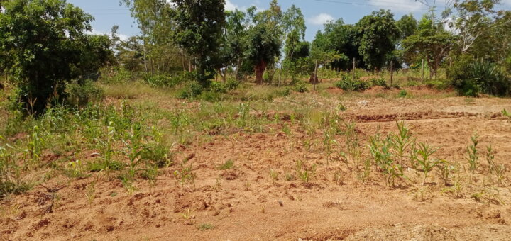 land for sale in Migwani