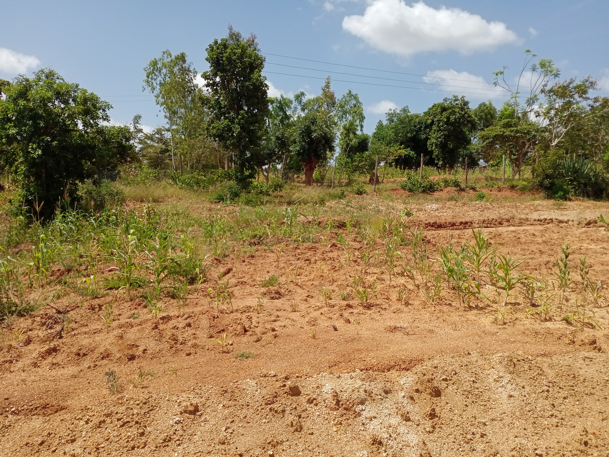 land for sale in Migwani