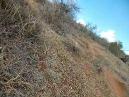 land for sale in Mwatate