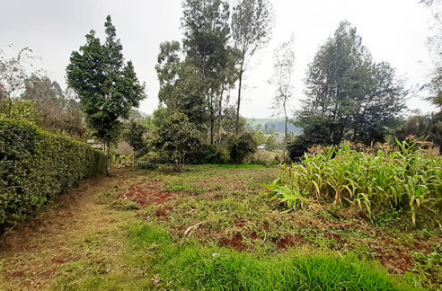 land for sale in Waitaluk Kitale