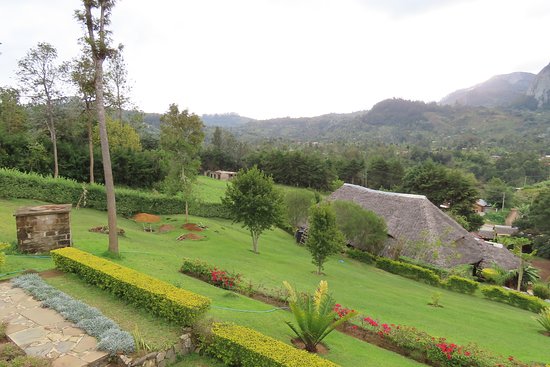 land for sale in Wundanyi