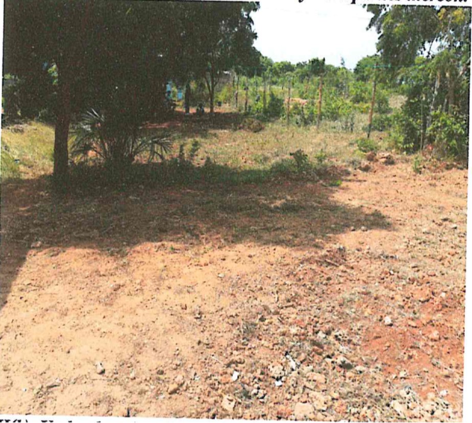 land for sale in zombe