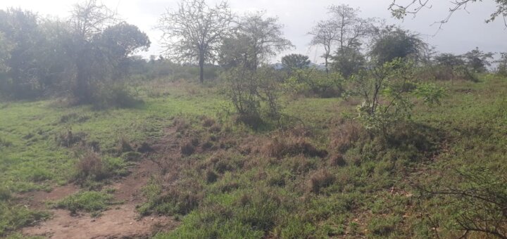 land for sale in mwala