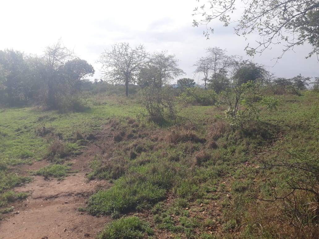 land for sale in mwala