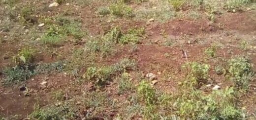 land for sale in mwingi