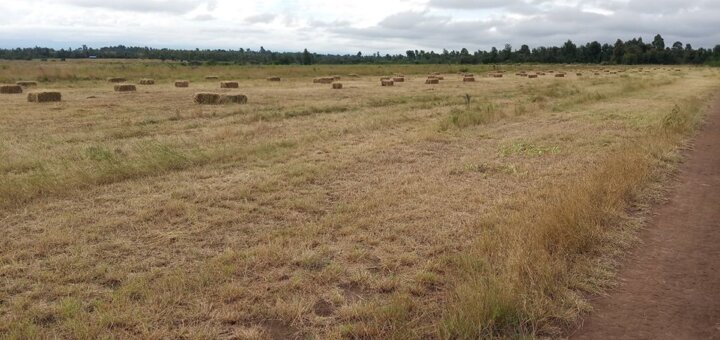 Land for Sale in Naro Moru