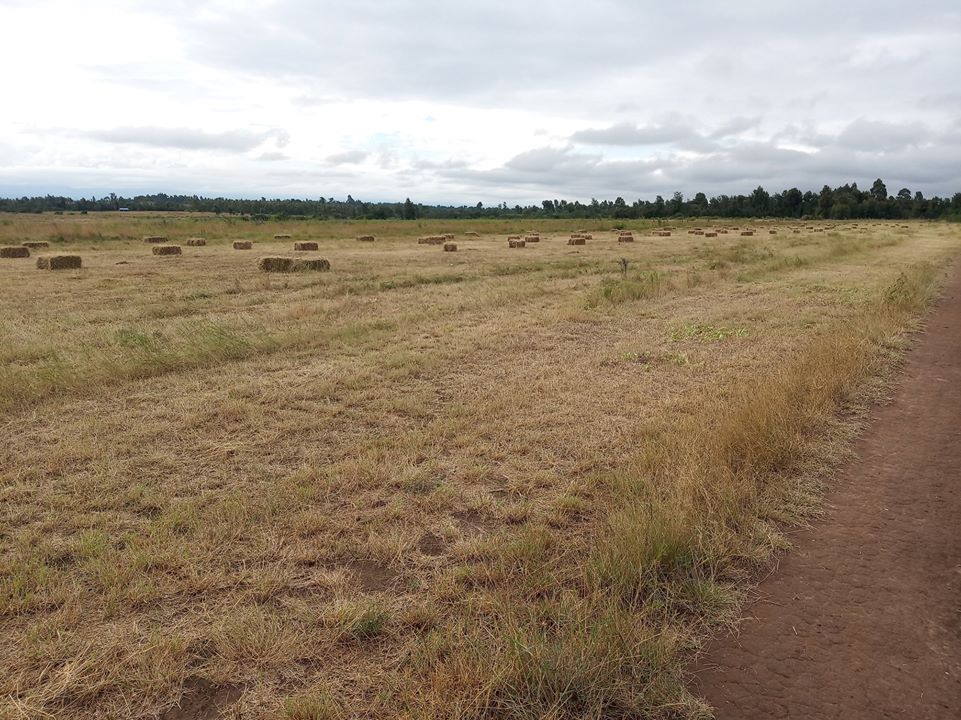 Land for Sale in Naro Moru