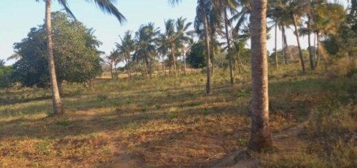 land for sale in Kaloleni