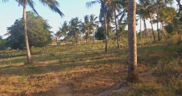 land for sale in Kaloleni