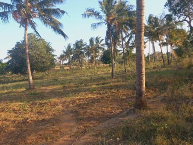 land for sale in Kaloleni