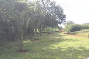 land for sale in sagalla